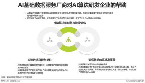 2024年中國AI基礎(chǔ)數(shù)據(jù)服務(wù)研究報(bào)告 互聯(lián)網(wǎng)安全服務(wù)